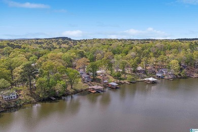 LAY LAKE- NEW PRICE- NEW ROOF-NO HOA! Includes 5 lots, Home has - photo 43