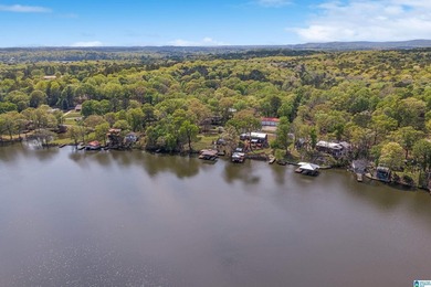 LAY LAKE- NEW PRICE- NEW ROOF-NO HOA! Includes 5 lots, Home has - photo 44