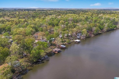 LAY LAKE- NEW PRICE- NEW ROOF-NO HOA! Includes 5 lots, Home has - photo 45