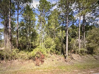 Build on one of the last lots in Holly By The Sea! Located 3.2 - photo 1