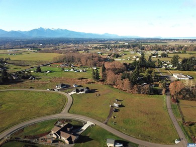 Prime 1 acre building lot with Olympic Mountain View and paved - photo 8