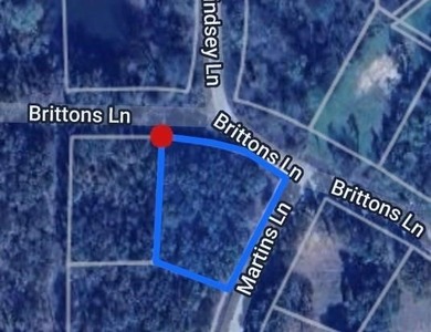 Beautiful corner lot to build your new dream home. No HOA - photo 2