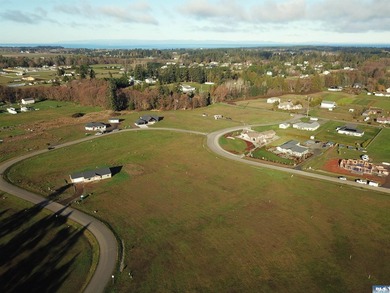 Prime 1 acre building lot with Olympic Mountain View and paved - photo 4