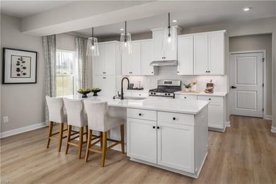 The Hudson single-family home offers a flexible layout suited - photo 13