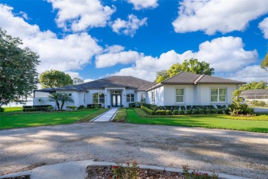 Lake Ola Home For Sale in Mount Dora Florida
