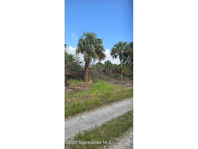 This lot is in a developing area. Lot is oversized. located in a - photo 1