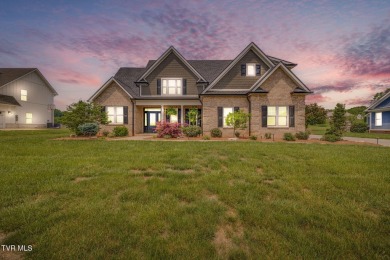 Lake Home For Sale in Blountville, Tennessee