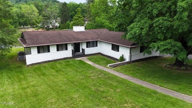 Lake Home For Sale in Bristol, Tennessee