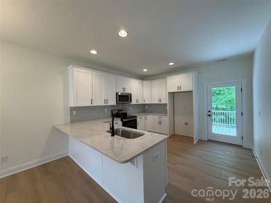 Don't miss one of the last two NEW CONSTRUCTION brick townhomes - photo 8
