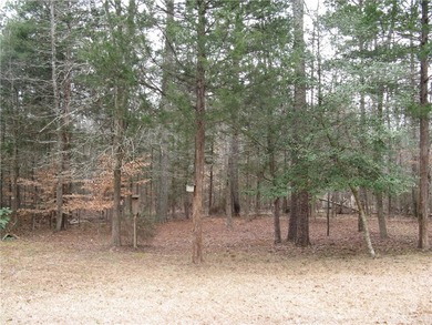 LOOKING FOR AN IMMACULATE MOVE IN GET AWAY FULLY FURNISHED? - photo 19