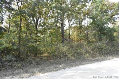 Lake of the Ozarks Acreage For Sale in Gravois Mills Missouri