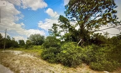 Lehigh Acres Area Lot For Sale in Alva Florida
