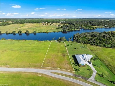 Lake Lot For Sale in Alva, Florida
