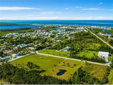 Imagine building your custom dream home on this exceptional 1 - photo 17