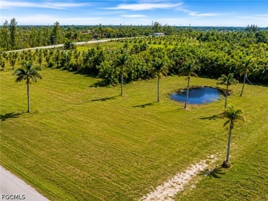 Imagine building your custom dream home on this exceptional 1 - photo 22
