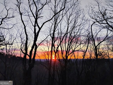 MAJOR PRICE IMPROVEMENT ----- MOTIVATED SELLER!! *** THIS CABIN - photo 37