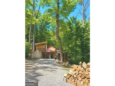 MAJOR PRICE IMPROVEMENT ----- MOTIVATED SELLER!! *** THIS CABIN - photo 40