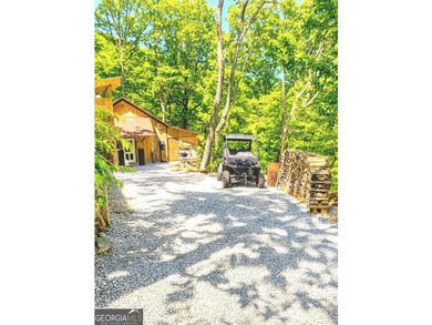 MAJOR PRICE IMPROVEMENT ----- MOTIVATED SELLER!! *** THIS CABIN - photo 41