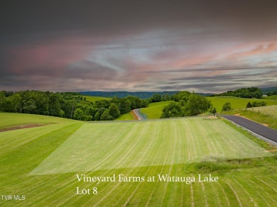 Lake Lot For Sale in Butler, Tennessee