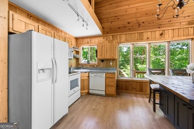 An Exceptional Lake Rabun Retreat - Where Pristine Waters Meet - photo 6