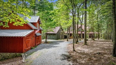Lake Home For Sale in Ellijay, Georgia