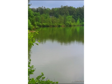Lake Lot For Sale in Deatsville, Alabama