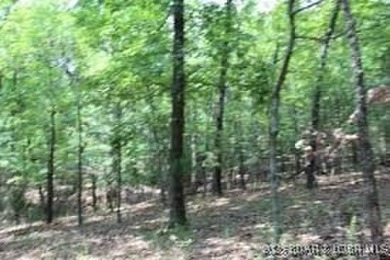 Lake of the Ozarks Acreage For Sale in Gravois Mills Missouri