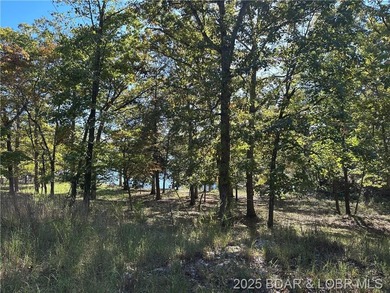 Lake of the Ozarks Acreage For Sale in Gravois Mills Missouri