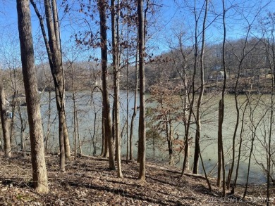 Lake of the Ozarks Acreage For Sale in Edwards Missouri