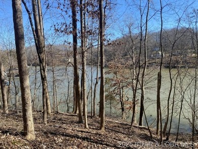 Lake of the Ozarks Acreage For Sale in Edwards Missouri