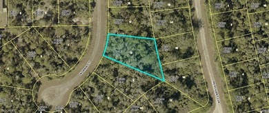 Lehigh Acres Area Lot For Sale in Lehigh Acres Florida