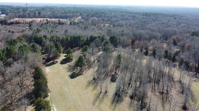 (private lake, pond, coastal) Acreage For Sale in Quitman Texas