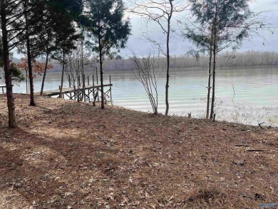 Lake Lot For Sale in Glencoe, Alabama