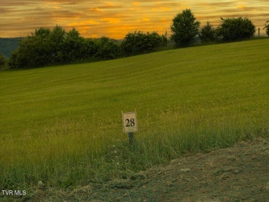 Lake Lot For Sale in Butler, Tennessee