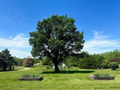 We are honored to represent the Young Family Trust with this - photo 6
