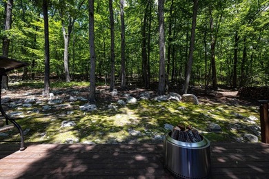 Stunning renovated contemporary with a park like setting perched - photo 48
