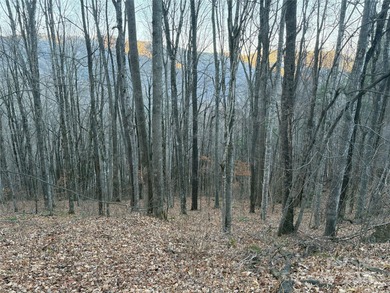 (private lake, pond, coastal) Acreage Active Under Contract in Waynesville North Carolina