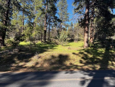 Upper Klamath Lake Lot For Sale in Klamath Falls Oregon