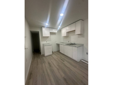 Welcome to this beautifully remodeled single-wide mobile home - photo 3