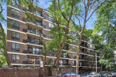 Lake Michigan - Cook County Condo Active Under Contract in Chicago Illinois