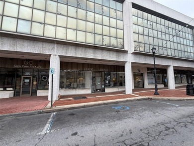 Established Salon Space - Prime Glen Cove Location Rare - photo 2