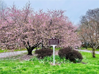 Welcome to Historic Seneca Parkway, also known as *Judges Row.* - photo 3