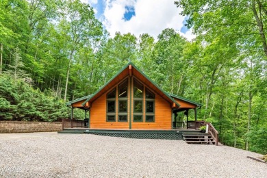 Lake Home For Sale in Butler, Tennessee