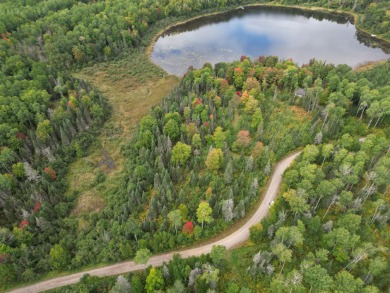 Lake Acreage For Sale in Crystal Falls, Michigan