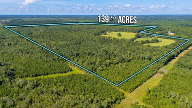 (private lake, pond, creek) Acreage For Sale in Westville Florida
