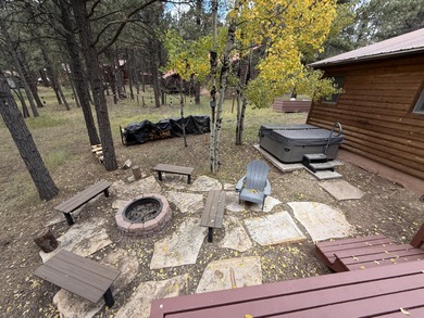 Beautiful getaway in Angel Fire only 1,7 mi from the ski basin & - photo 6