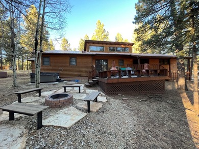 Beautiful getaway in Angel Fire only 1,7 mi from the ski basin & - photo 7