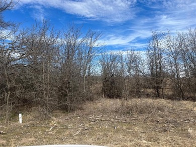 Lake Bridgeport Lot For Sale in Bridgeport Texas