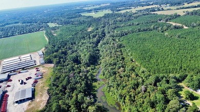 218 acres with road frontage on Hwy 431 & 131 in Eufaula. Zoned - photo 11