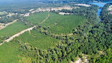 218 acres with road frontage on Hwy 431 & 131 in Eufaula. Zoned - photo 12